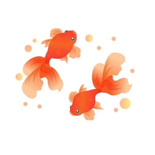 金魚02