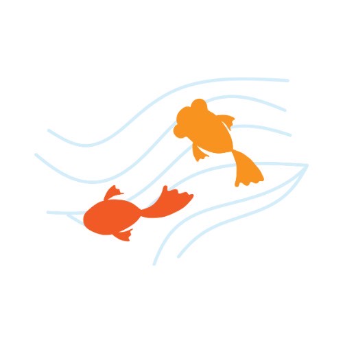 金魚の画像01